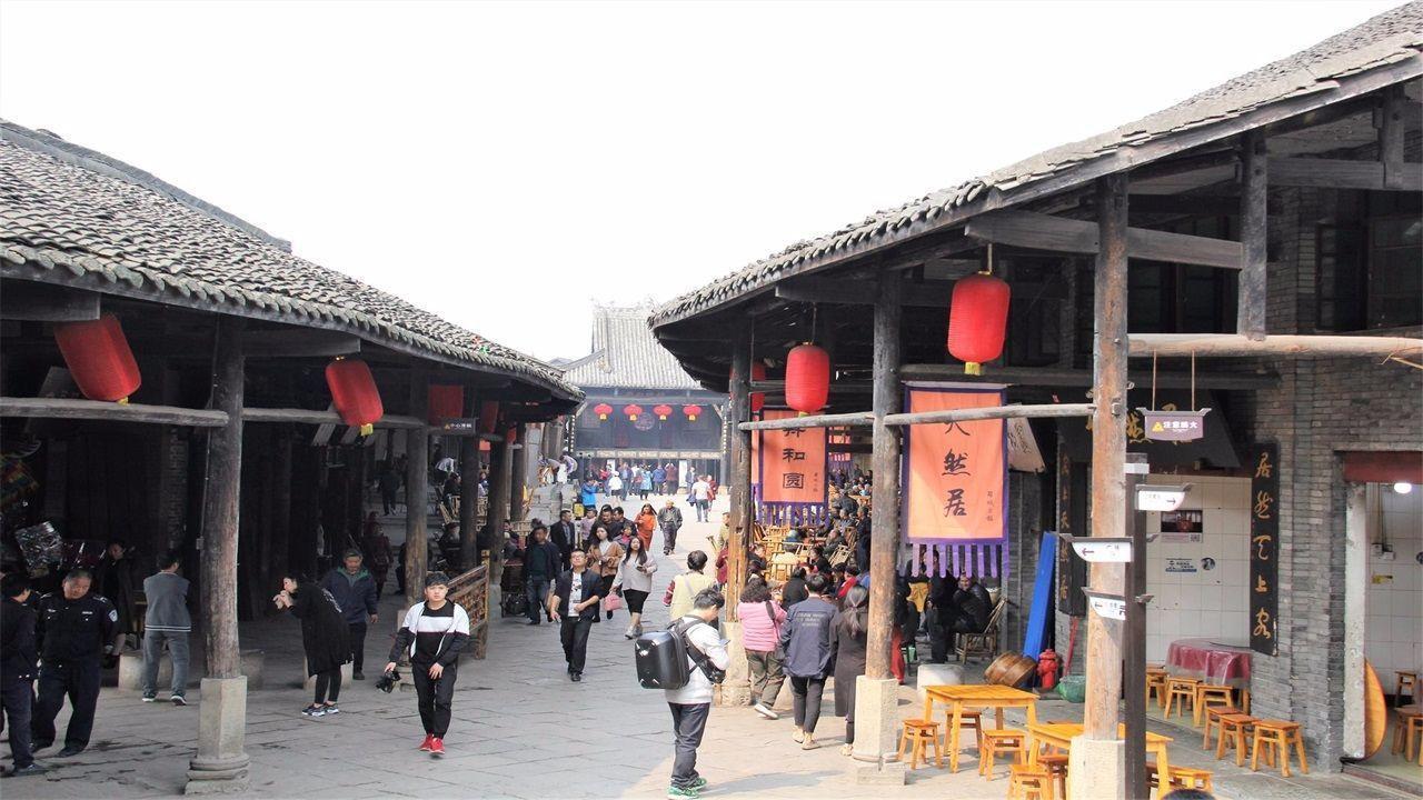 动物帮帮忙保卫家园