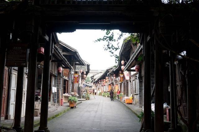 动物帮帮忙保卫家园